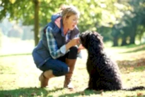 Köpek Bakım (Dog Walker)
